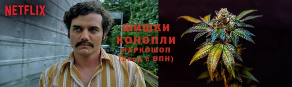 твердый Осинники