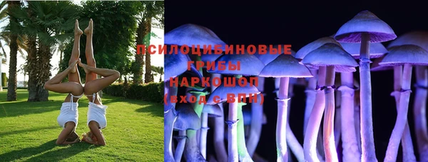 PSILOCYBIN Заволжск