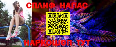 гидра Гатчина