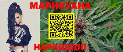 гидра Гатчина