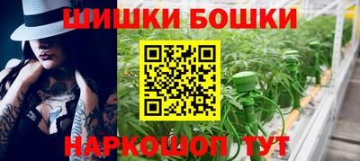 гидра Гатчина