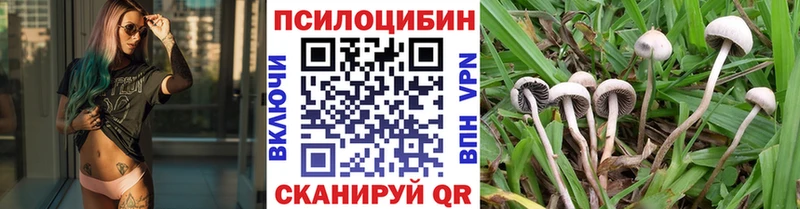 Псилоцибиновые грибы GOLDEN TEACHER Балтийск