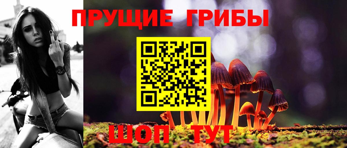 Балтийск  Галлюциногенные грибы Psilocybe  Вход с VPN 